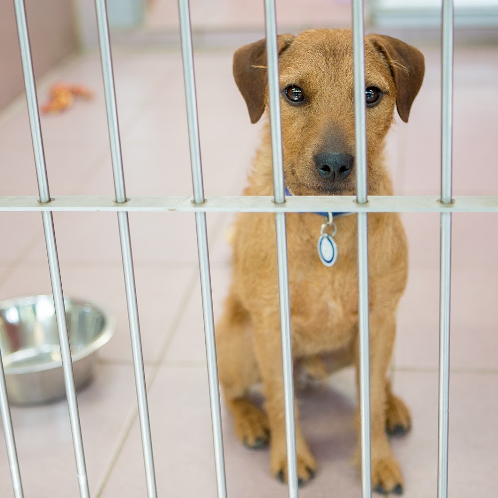 Scottish SPCA Edinburgh